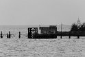 gekoo_003