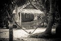 gekoo_040