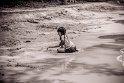 gekoo_068