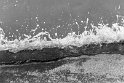 gekoo_166